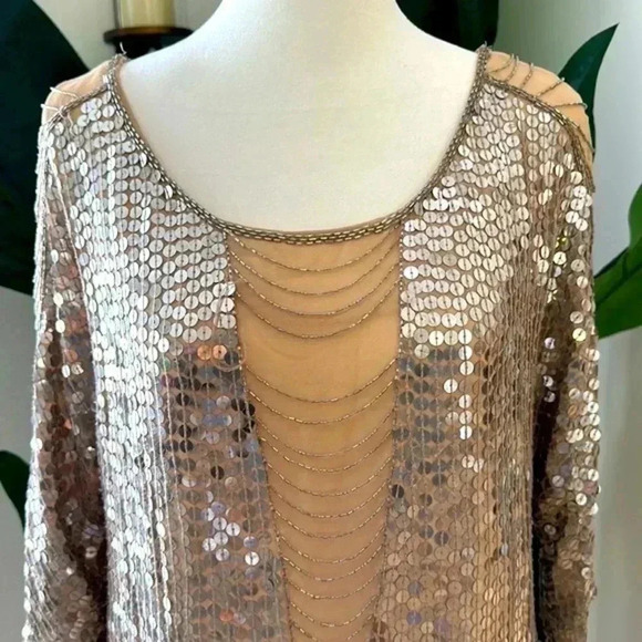 Haute Hippie XS Silver Sequence dress - Picture 3 of 12